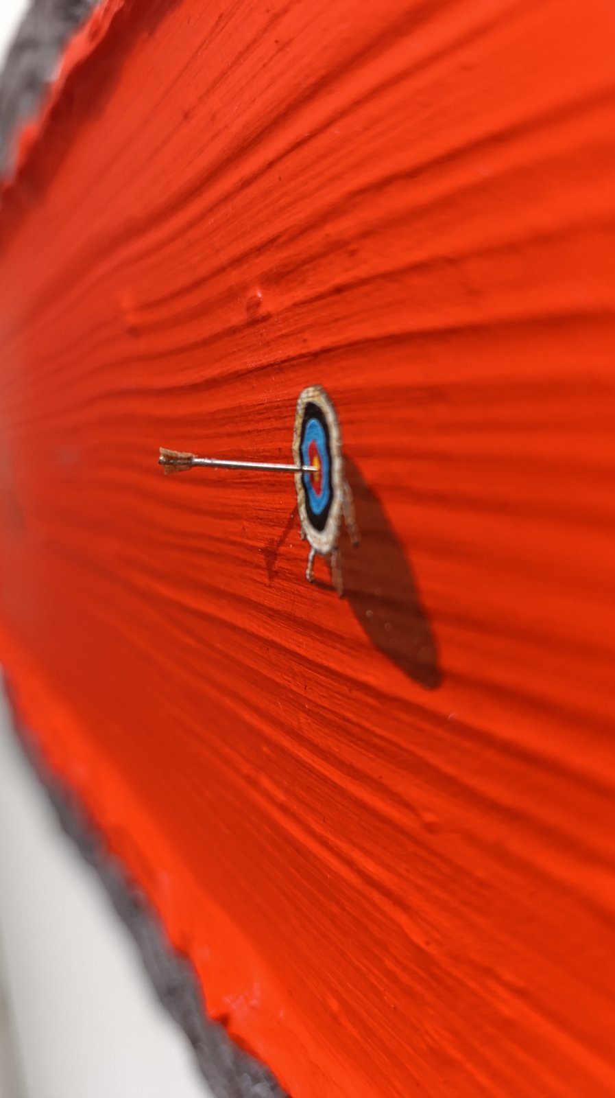 'Bullseye'