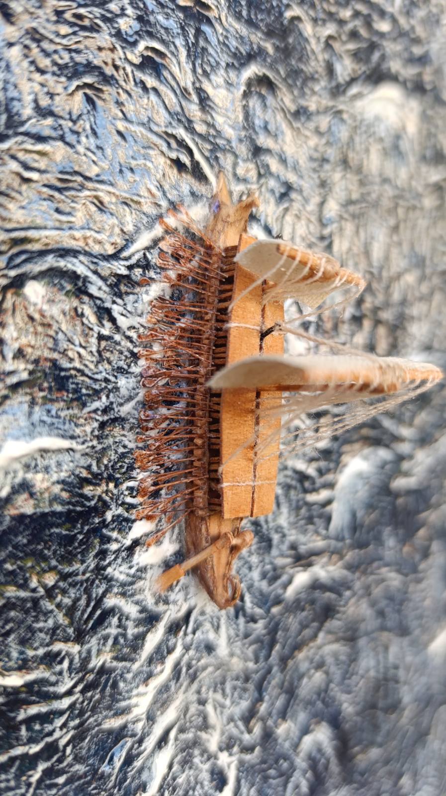 'Unleashed Winds'